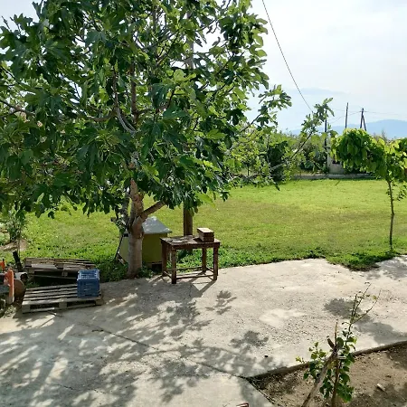 Villa Eucalyptus Agios Minas